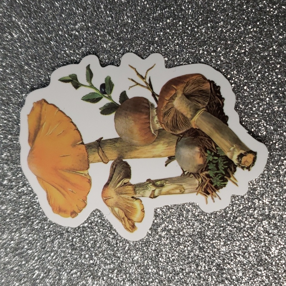 NATURE WATERPOOF Sticker mushrooms